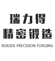 山東瑞力得精密鍛造科技有限公司